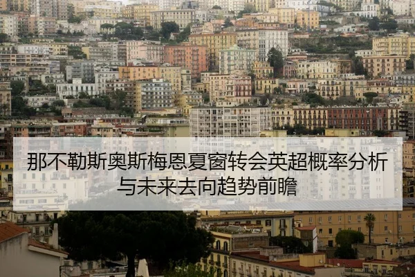 那不勒斯奥斯梅恩夏窗转会英超概率分析与未来去向趋势前瞻
