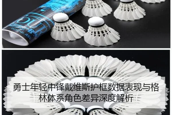 勇士年轻中锋戴维斯护框数据表现与格林体系角色差异深度解析